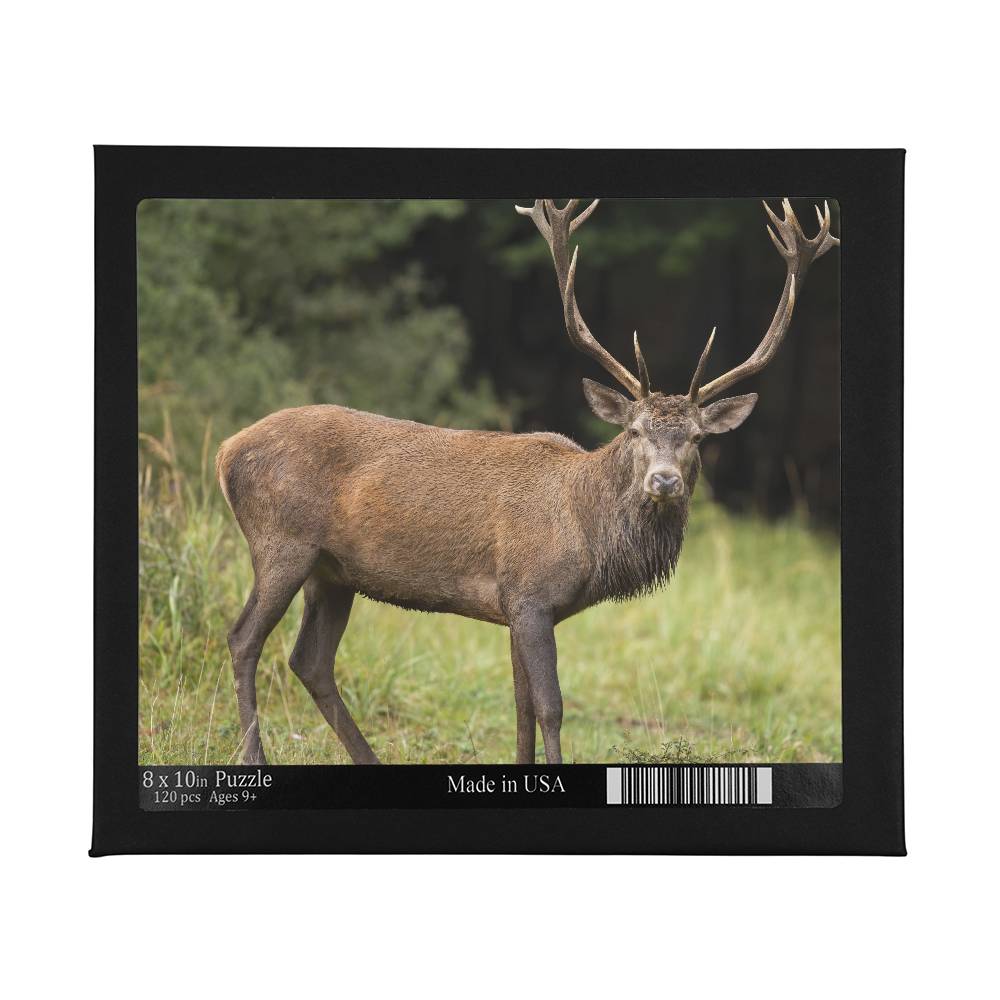 Animals Puzzle 8" x 10" (Small) Deer