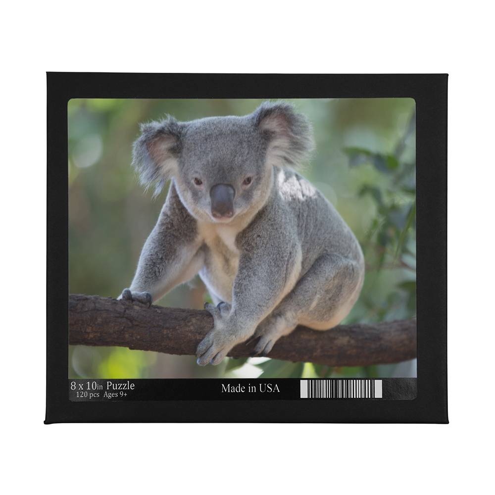 Animals Puzzle 8" x 10" (Small) Koala