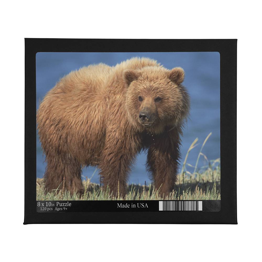 Animals Puzzle 8" x 10" (Small) Bear