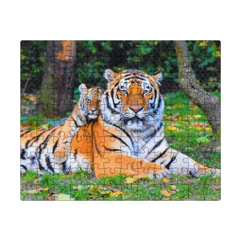 Animals Puzzle 8" x 10" (Small) Tiger