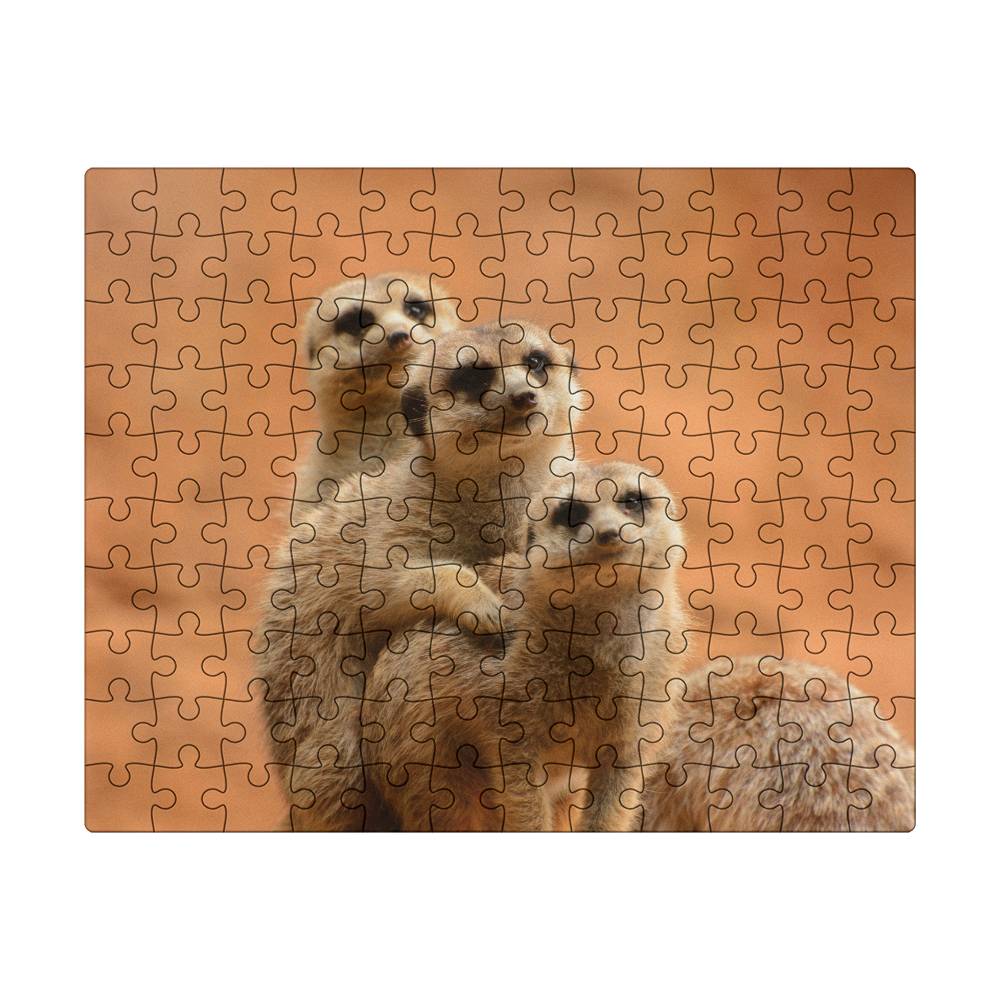 Animals Puzzle 8" x 10" (Small) Meerkat