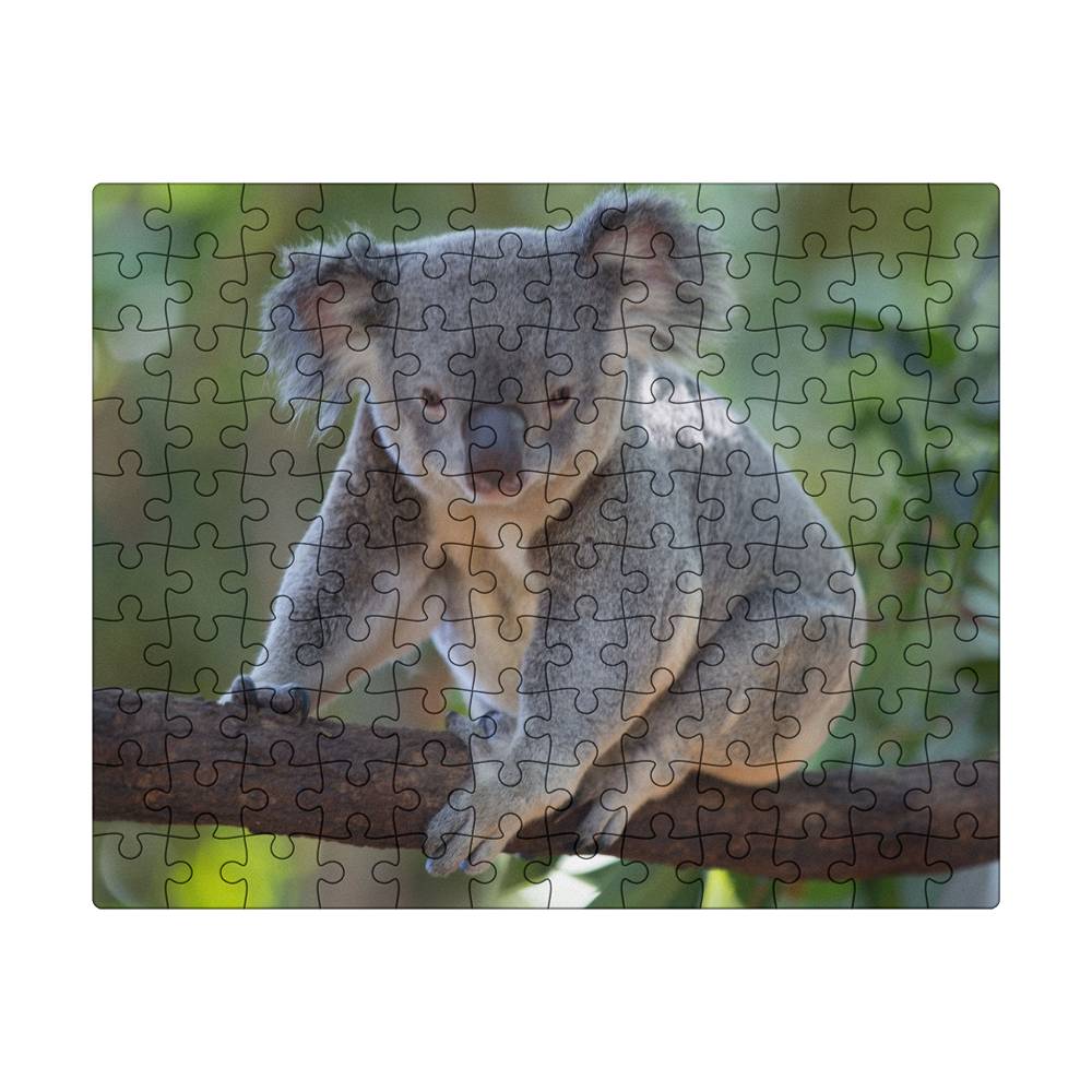 Animals Puzzle 8" x 10" (Small) Koala