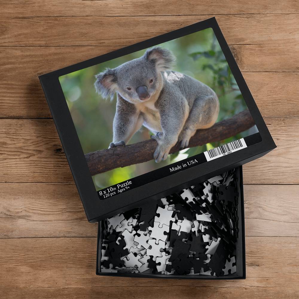 Animals Puzzle 8" x 10" (Small) Koala