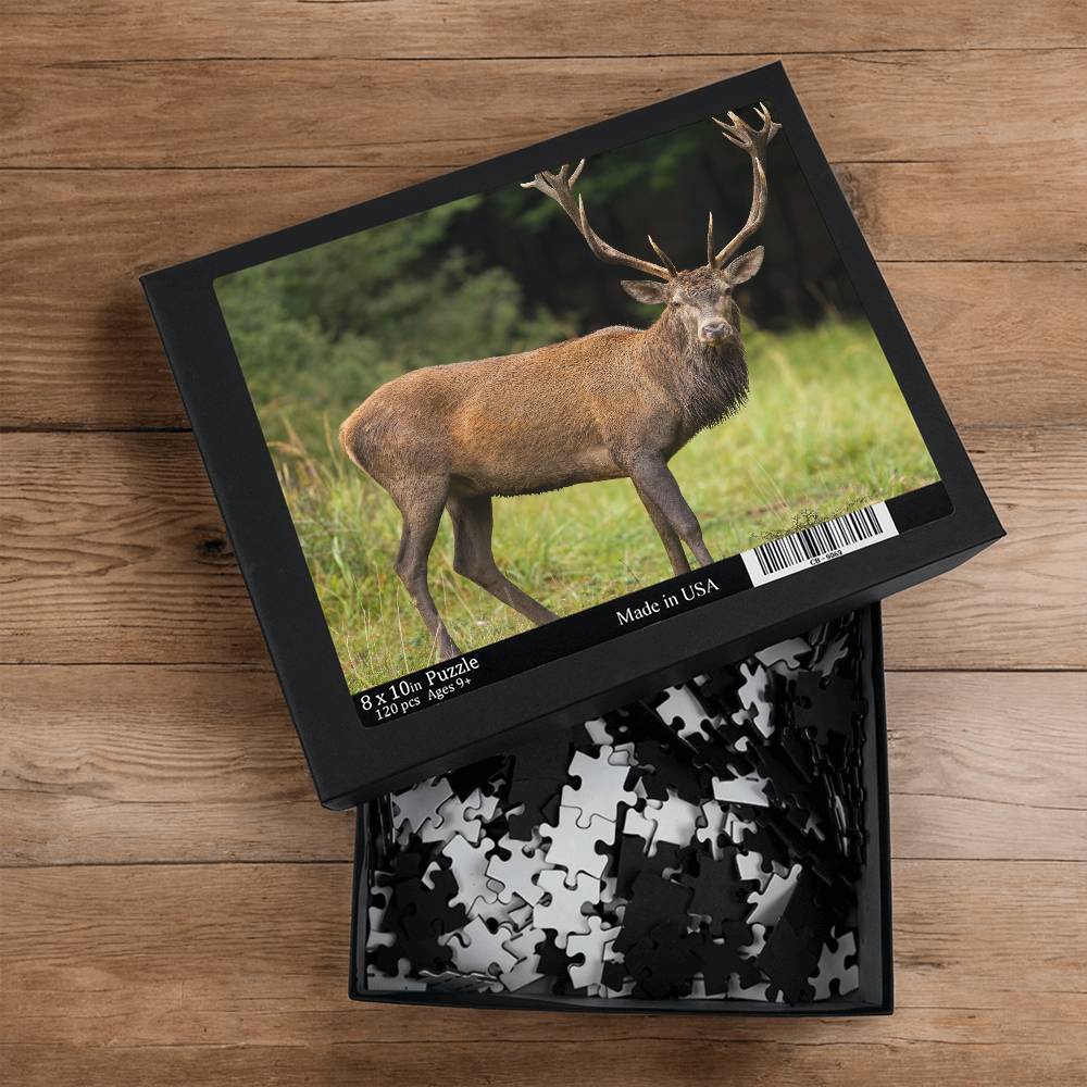 Animals Puzzle 8" x 10" (Small) Deer